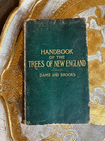 Handbook of the Trees of New England
©️1904