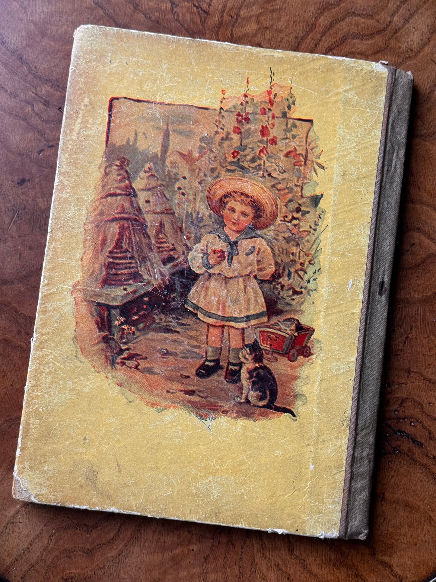 Happy Hours
Wild Animal Primer 1897