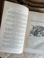 Beyond the Mississippi:
From the Great River to the Great Ocean 
Life and Adventure 
by Alfred D. Richardson 
©️1867