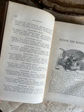 Beyond the Mississippi:
From the Great River to the Great Ocean 
Life and Adventure 
by Alfred D. Richardson 
©️1867