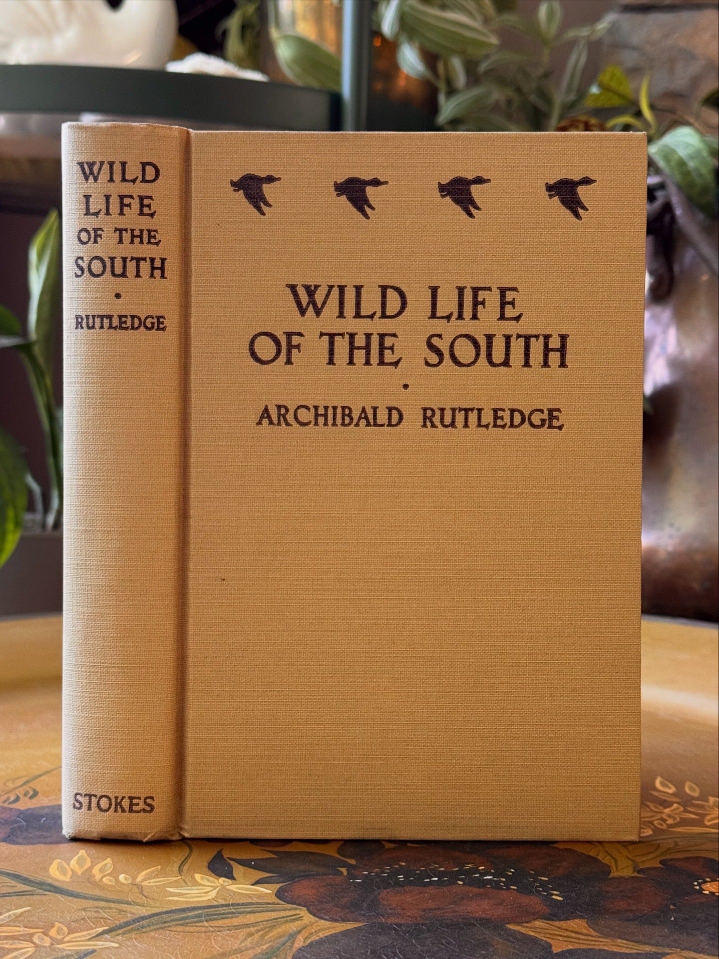 Wild Life of the South