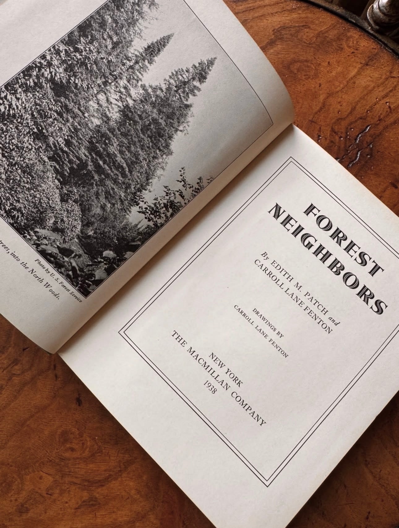 Forest Neighbors First Edition