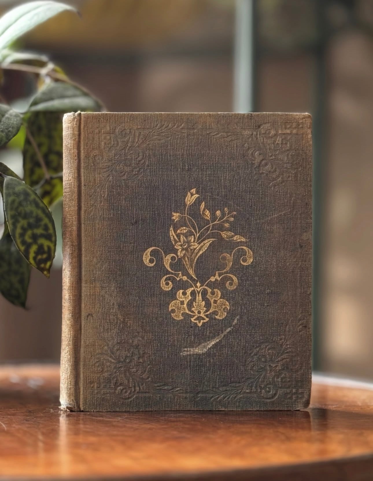 Pebbles from the Sea-Shore,
or Lizzie’s First Gleanings 1851