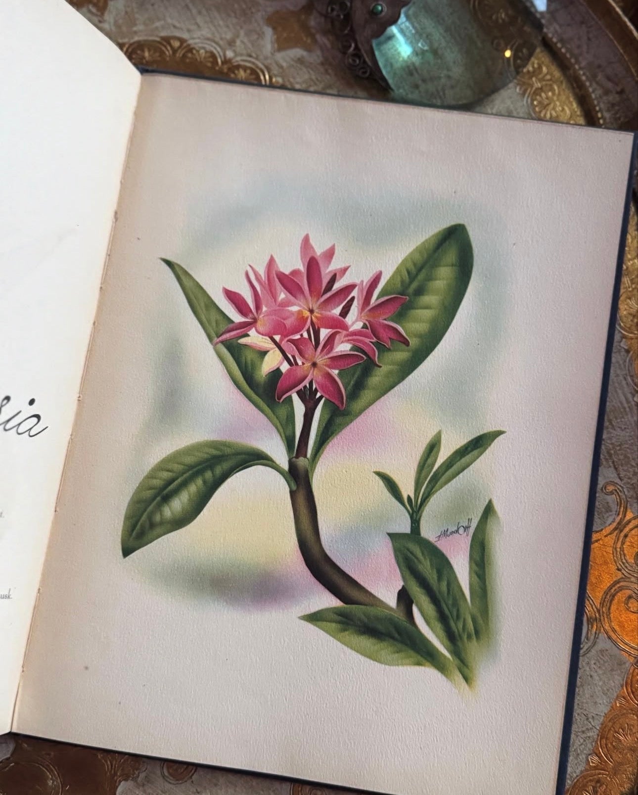In an Old Hawaiian Garden (signed)