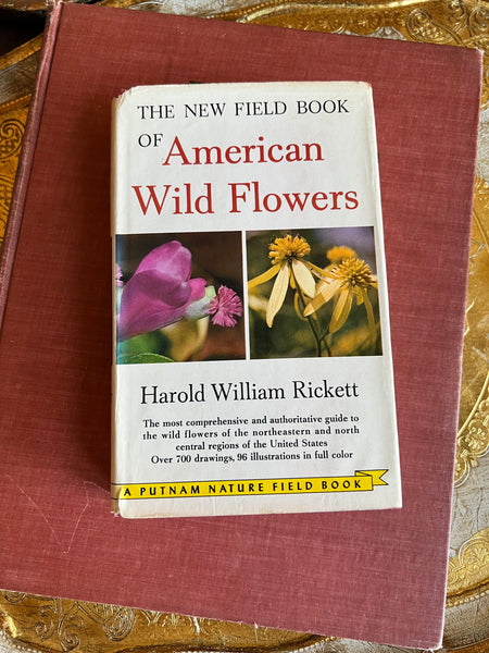 Wild Flowers of North America: 9783791388892 | : Books