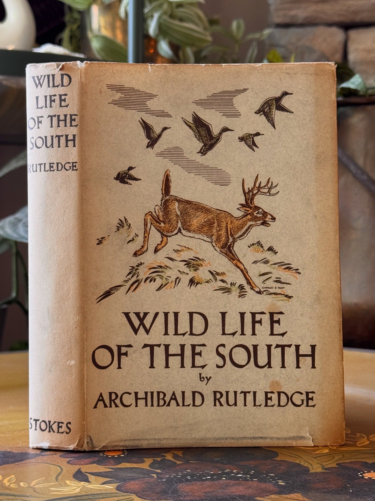 Wild Life of the South