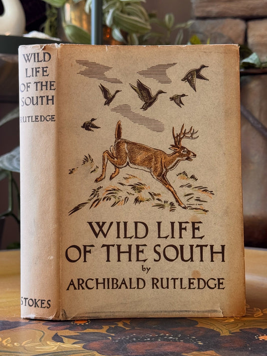 Wild Life of the South
