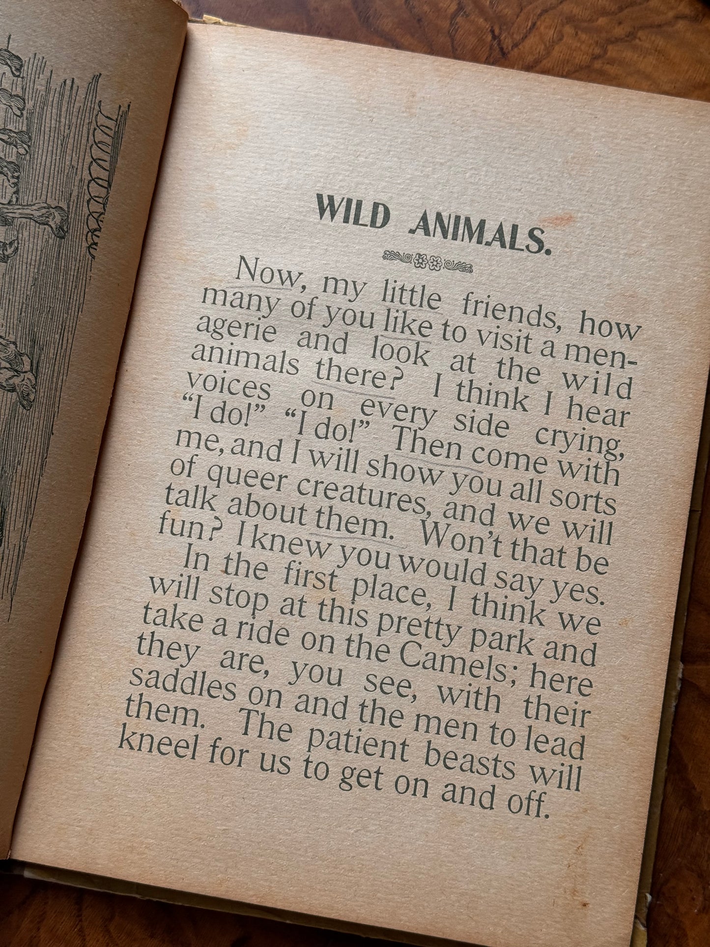 Happy Hours
Wild Animal Primer 1897