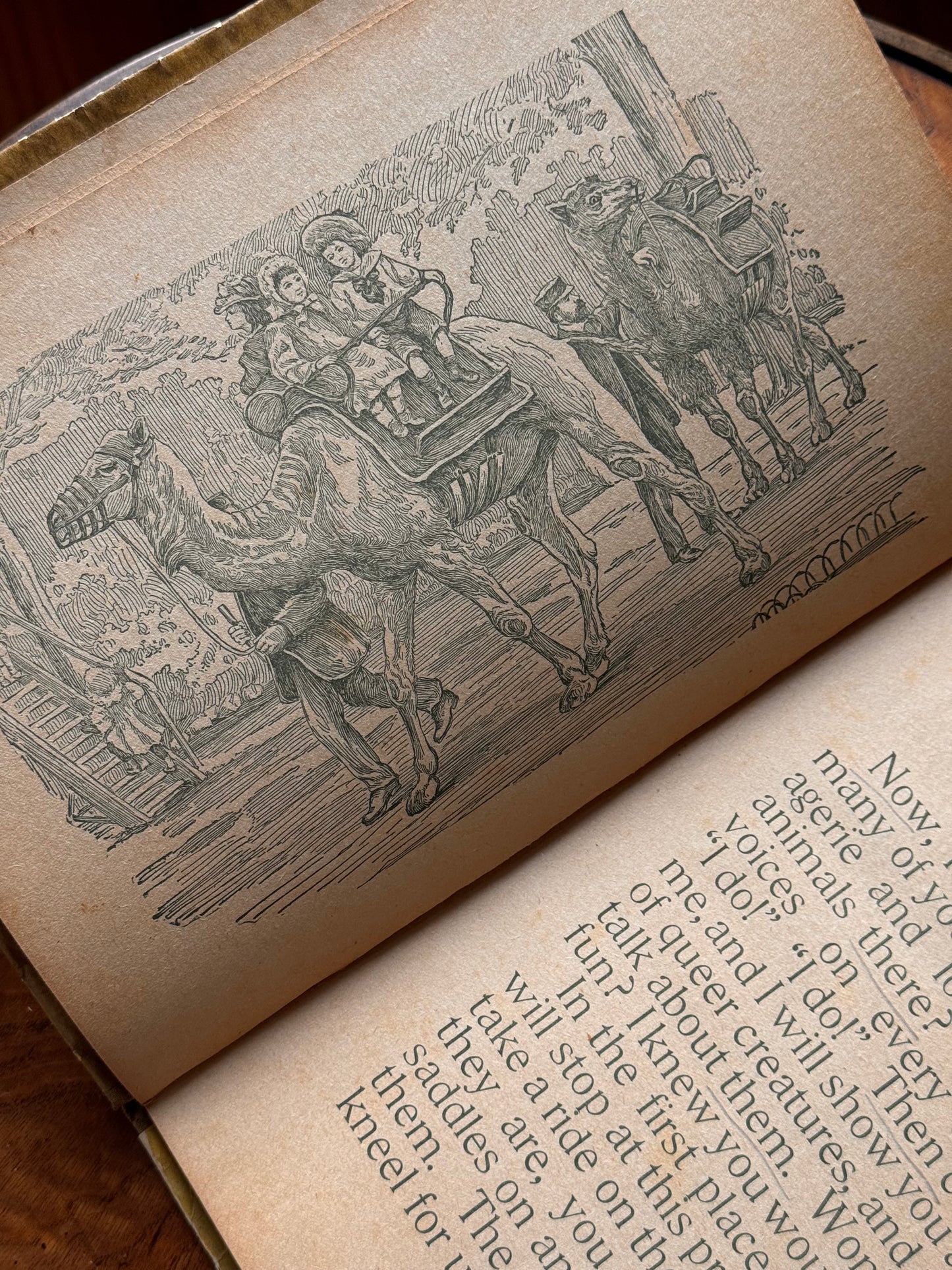 Happy Hours
Wild Animal Primer 1897
