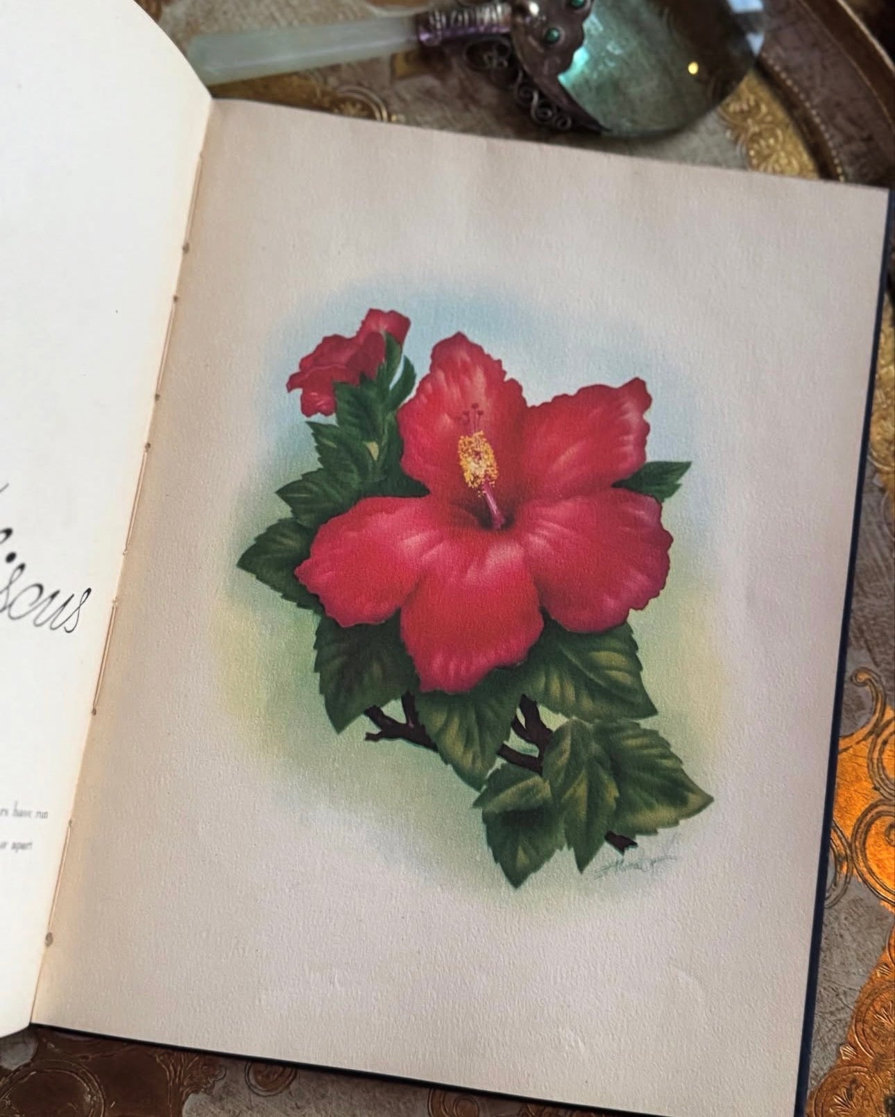 In an Old Hawaiian Garden (signed)
