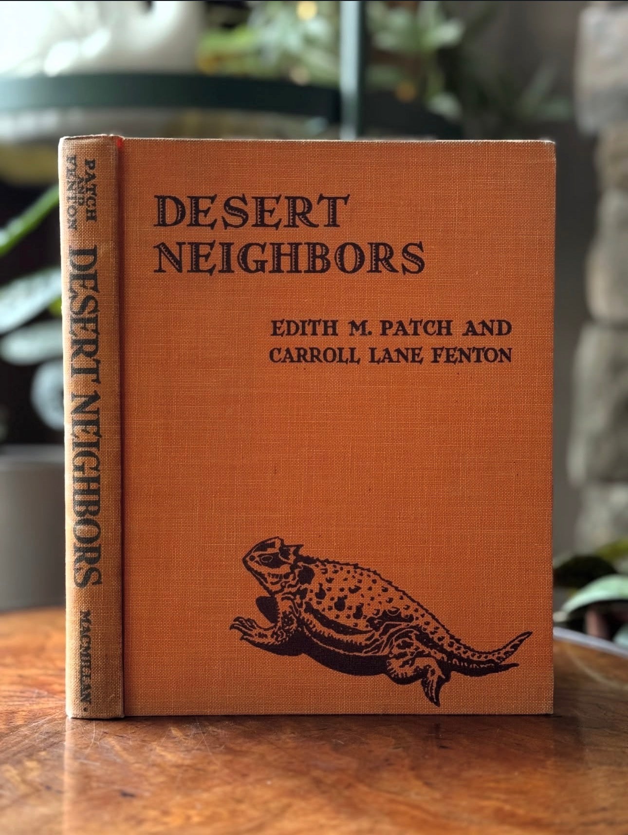 Desert Neighbors First Edition
