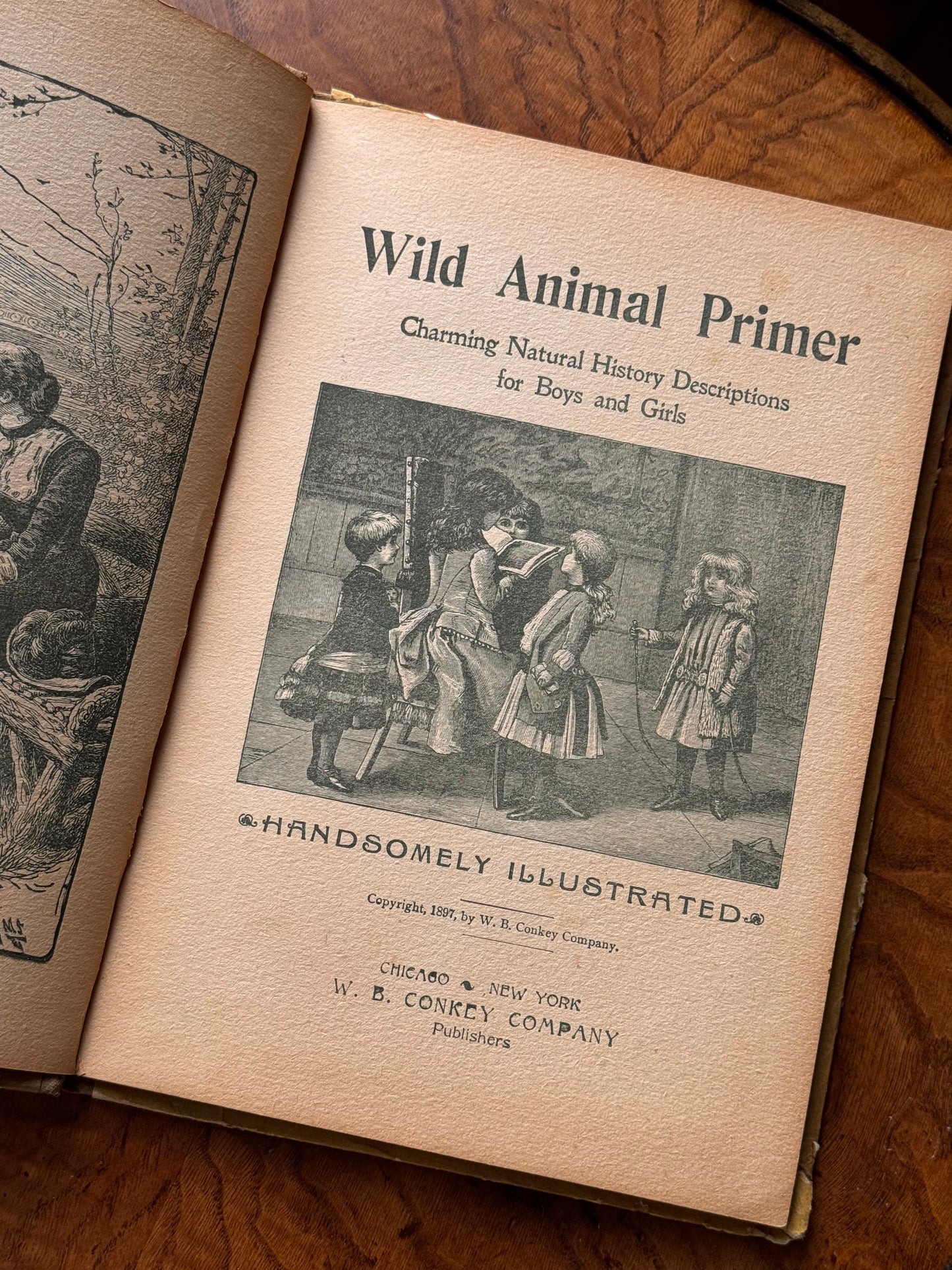 Happy Hours
Wild Animal Primer 1897
