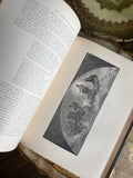 The American Art Review
A Journal Devoted to the Practice, Theory, History, and Archaeology of Art
1880 and 1881