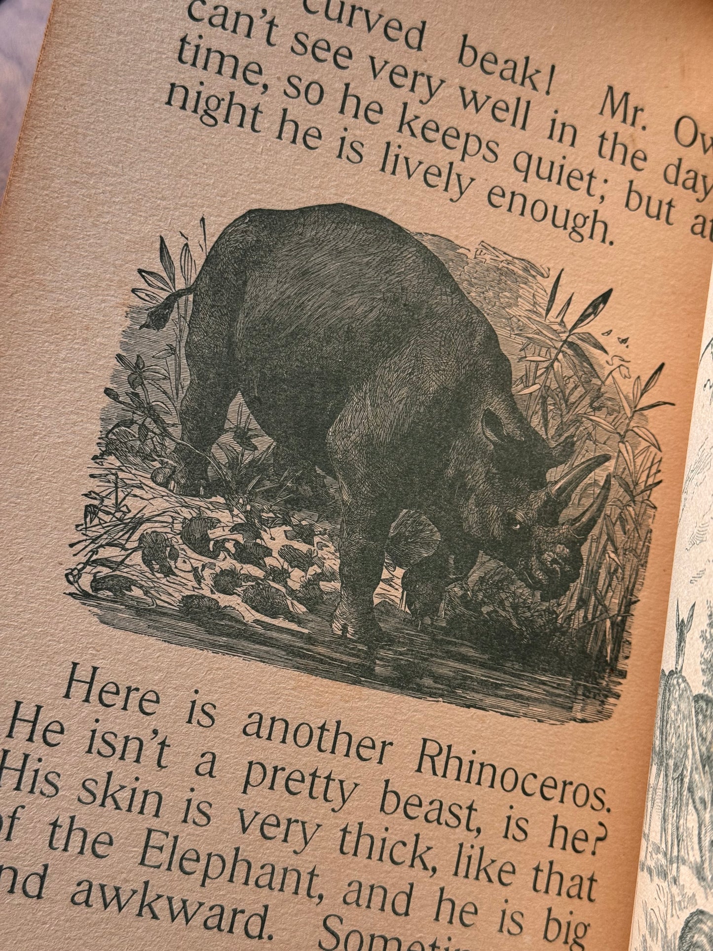 Happy Hours
Wild Animal Primer 1897