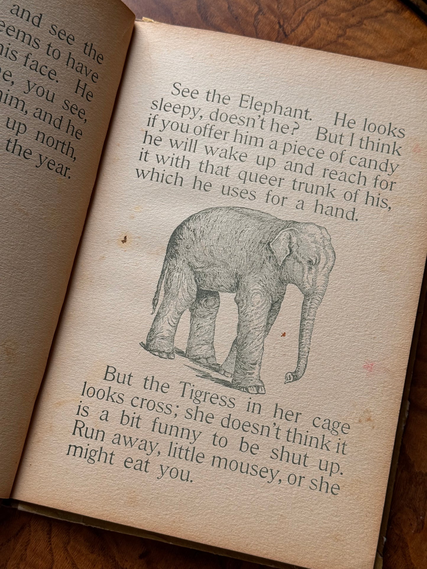 Happy Hours
Wild Animal Primer 1897