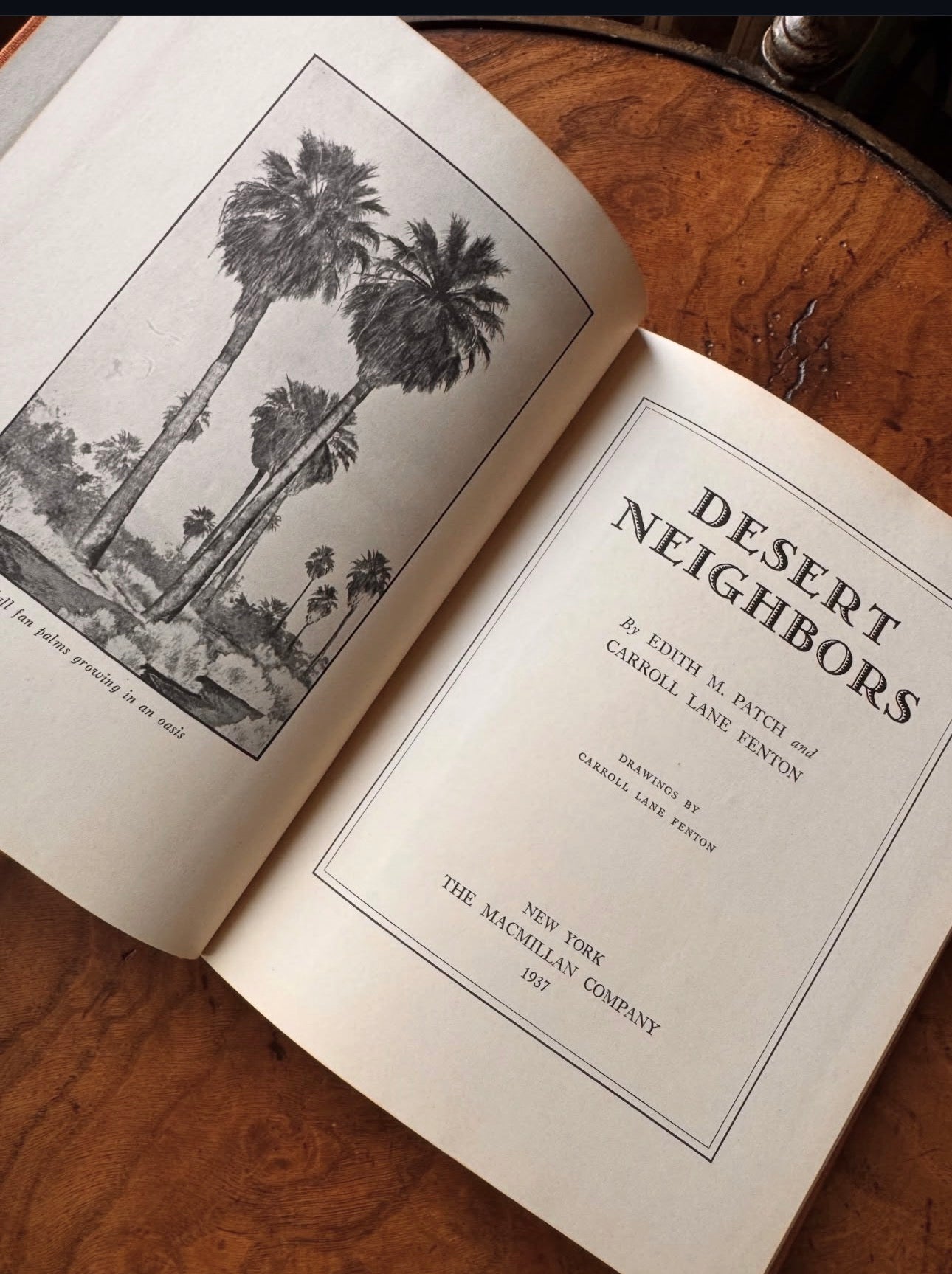 Desert Neighbors First Edition