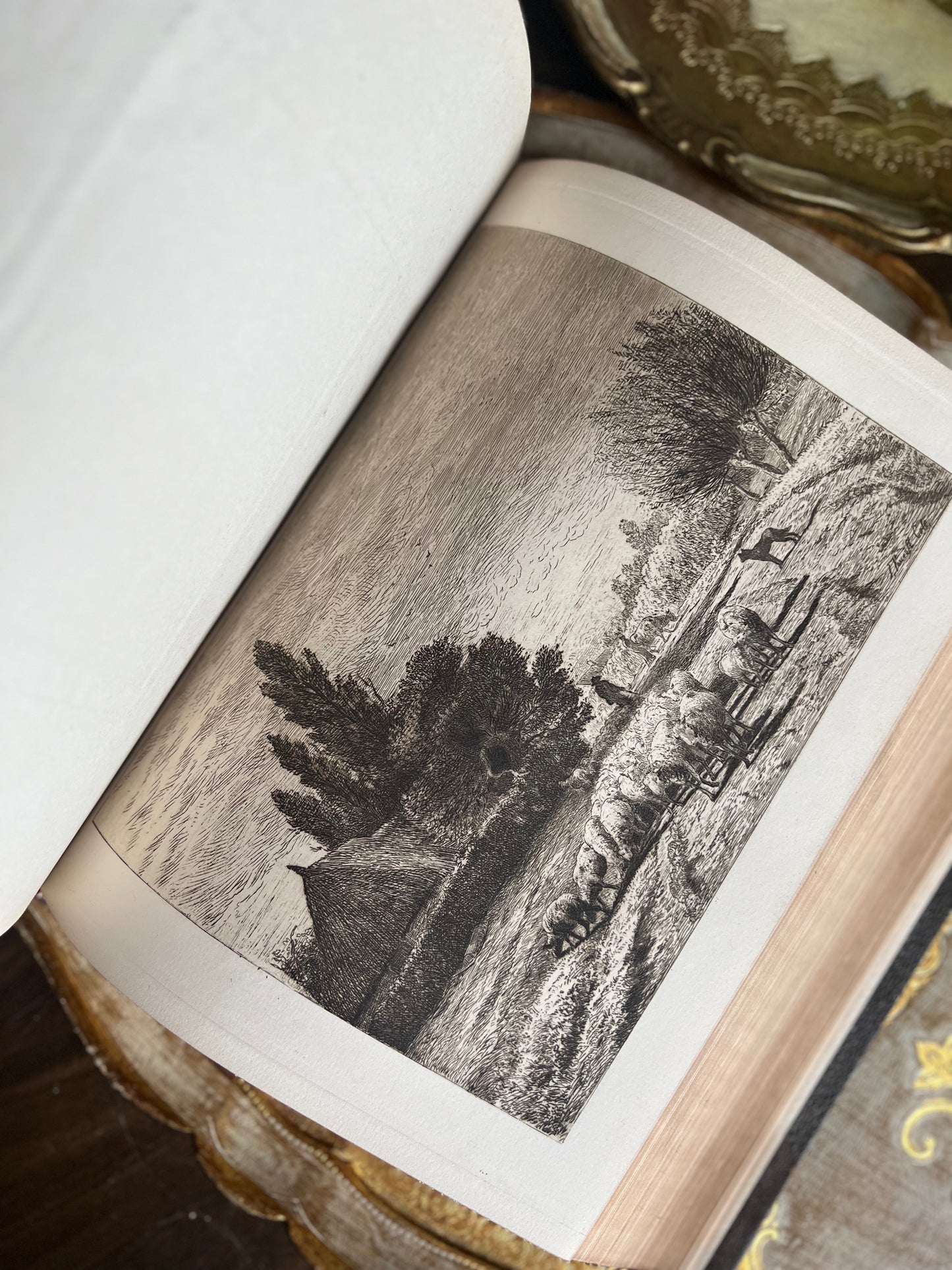 The American Art Review
A Journal Devoted to the Practice, Theory, History, and Archaeology of Art
1880 and 1881