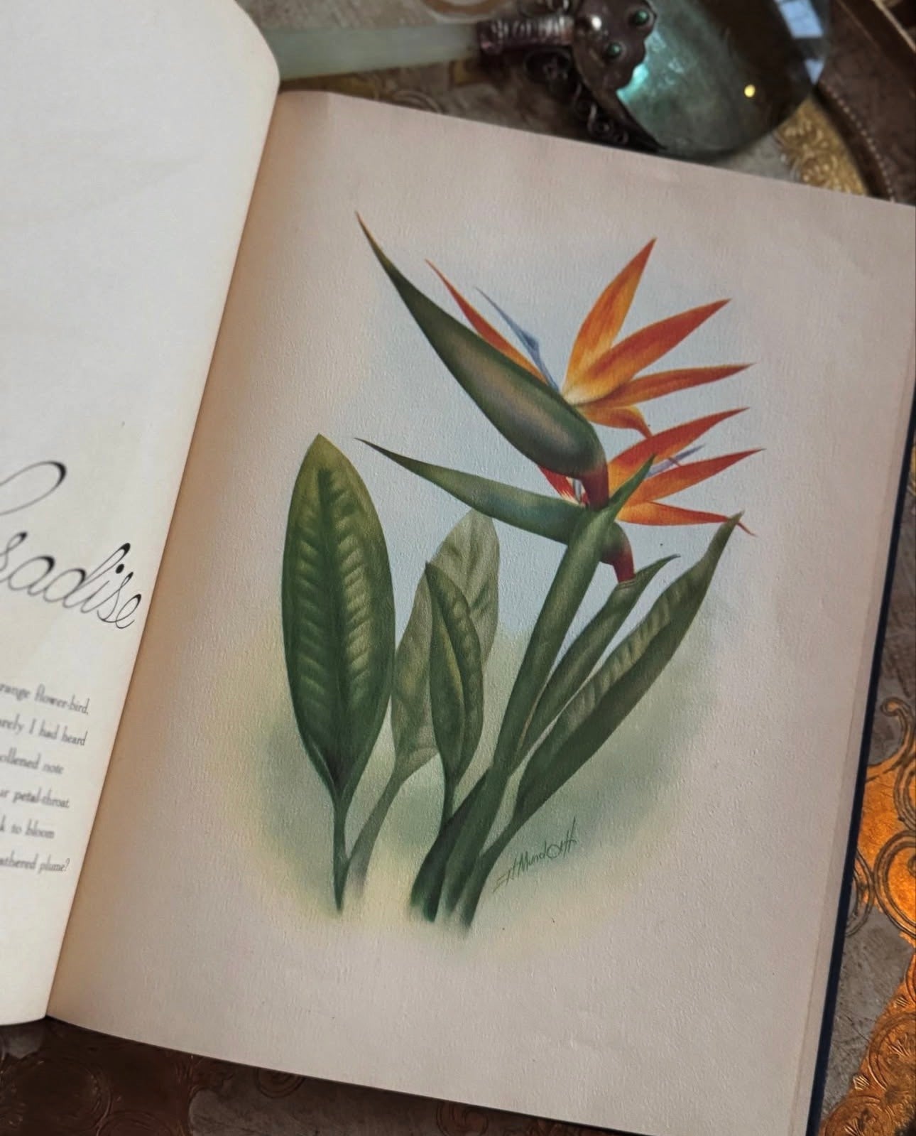 In an Old Hawaiian Garden (signed)