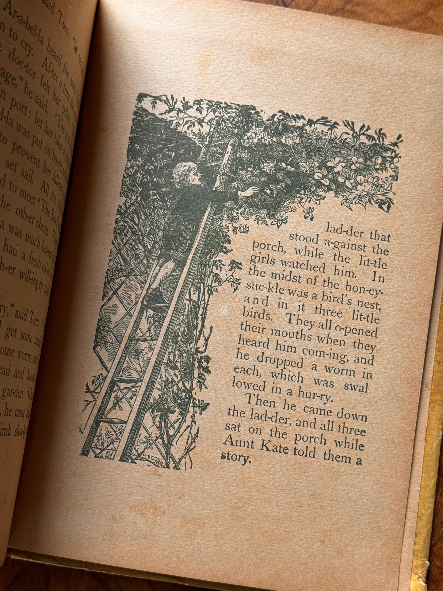 Happy Hours
Wild Animal Primer 1897