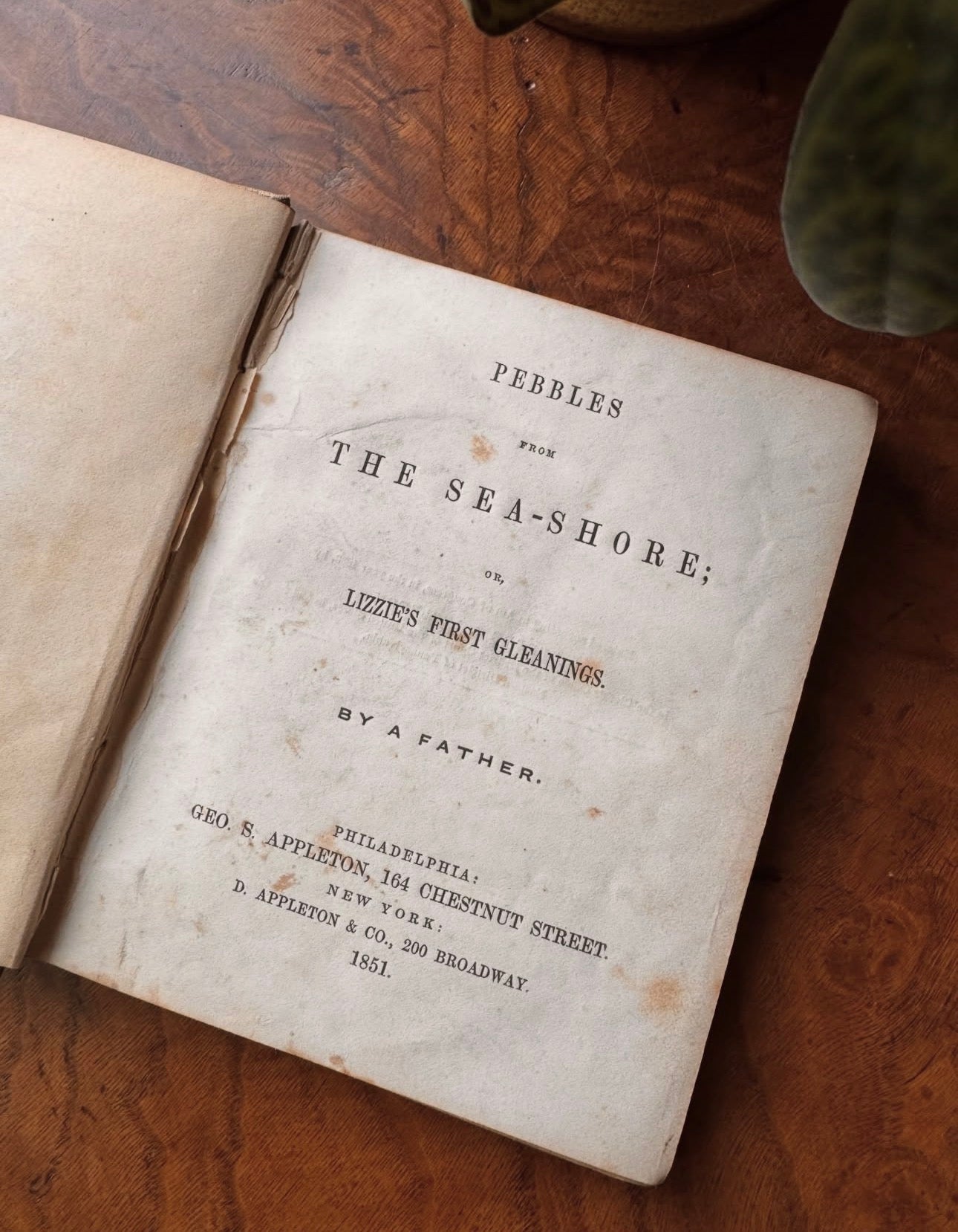Pebbles from the Sea-Shore,
or Lizzie’s First Gleanings 1851
