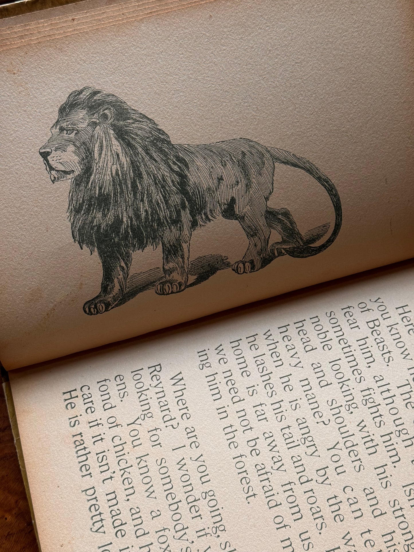 Happy Hours
Wild Animal Primer 1897