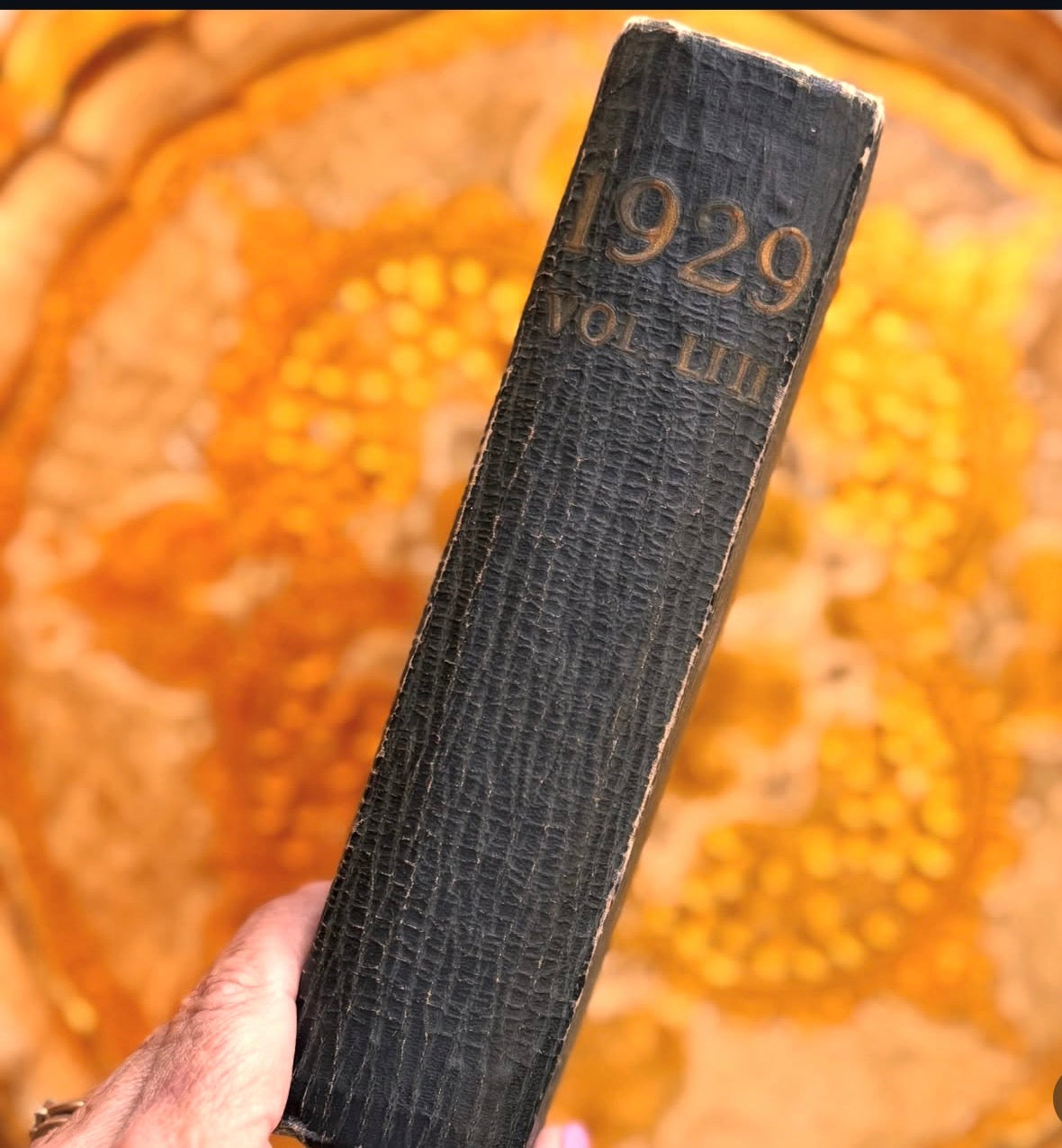 The Princeton
Bric~A~Brac
1929