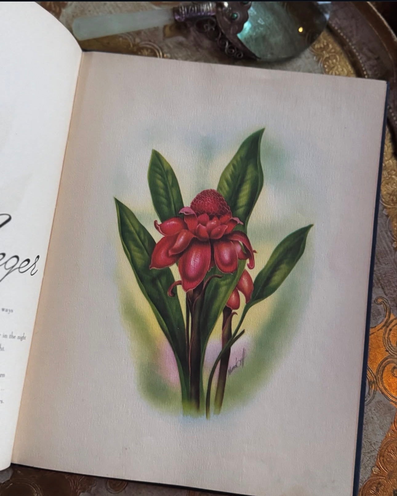 In an Old Hawaiian Garden (signed)