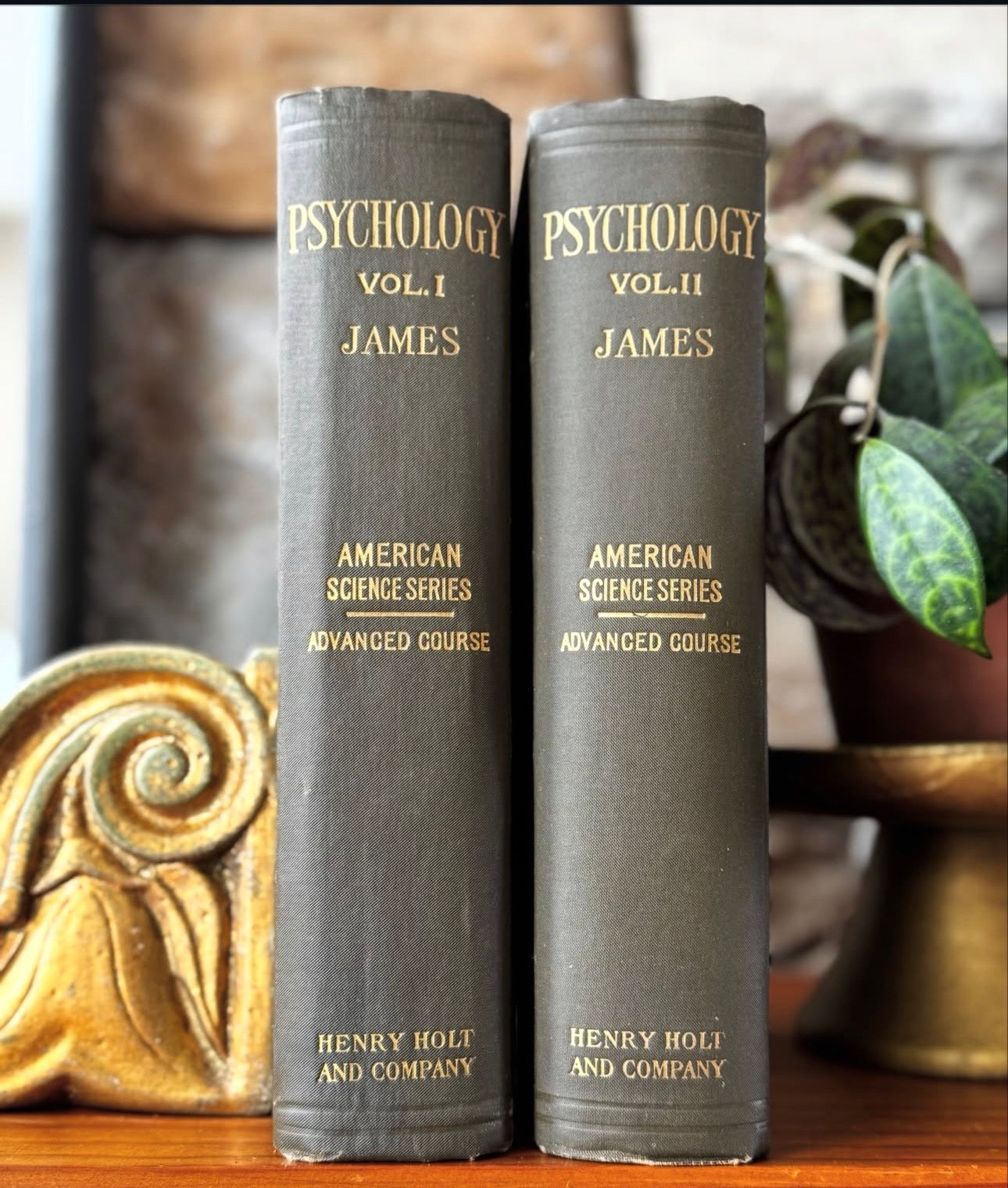 The Principles of Psychology 1905