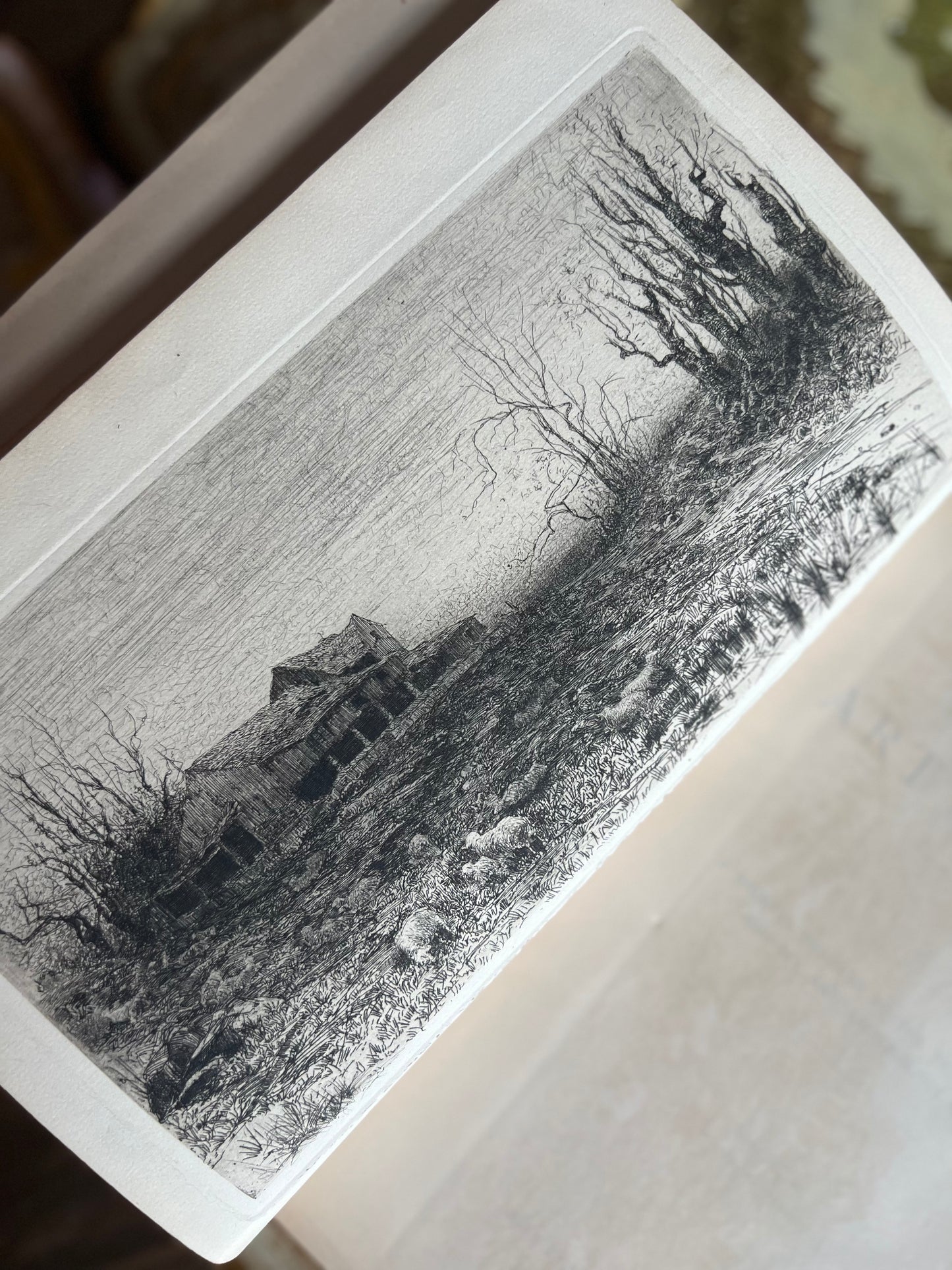 The American Art Review
A Journal Devoted to the Practice, Theory, History, and Archaeology of Art
1880 and 1881