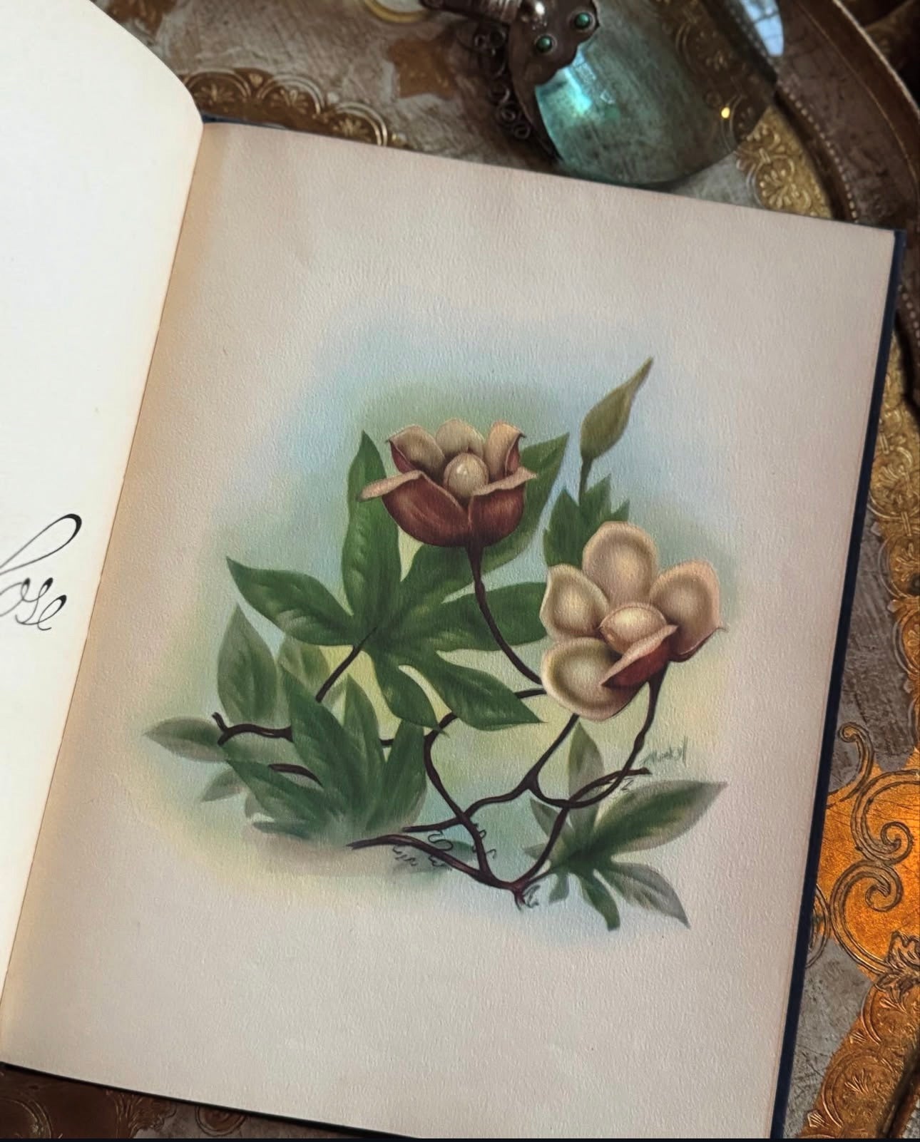 In an Old Hawaiian Garden (signed)