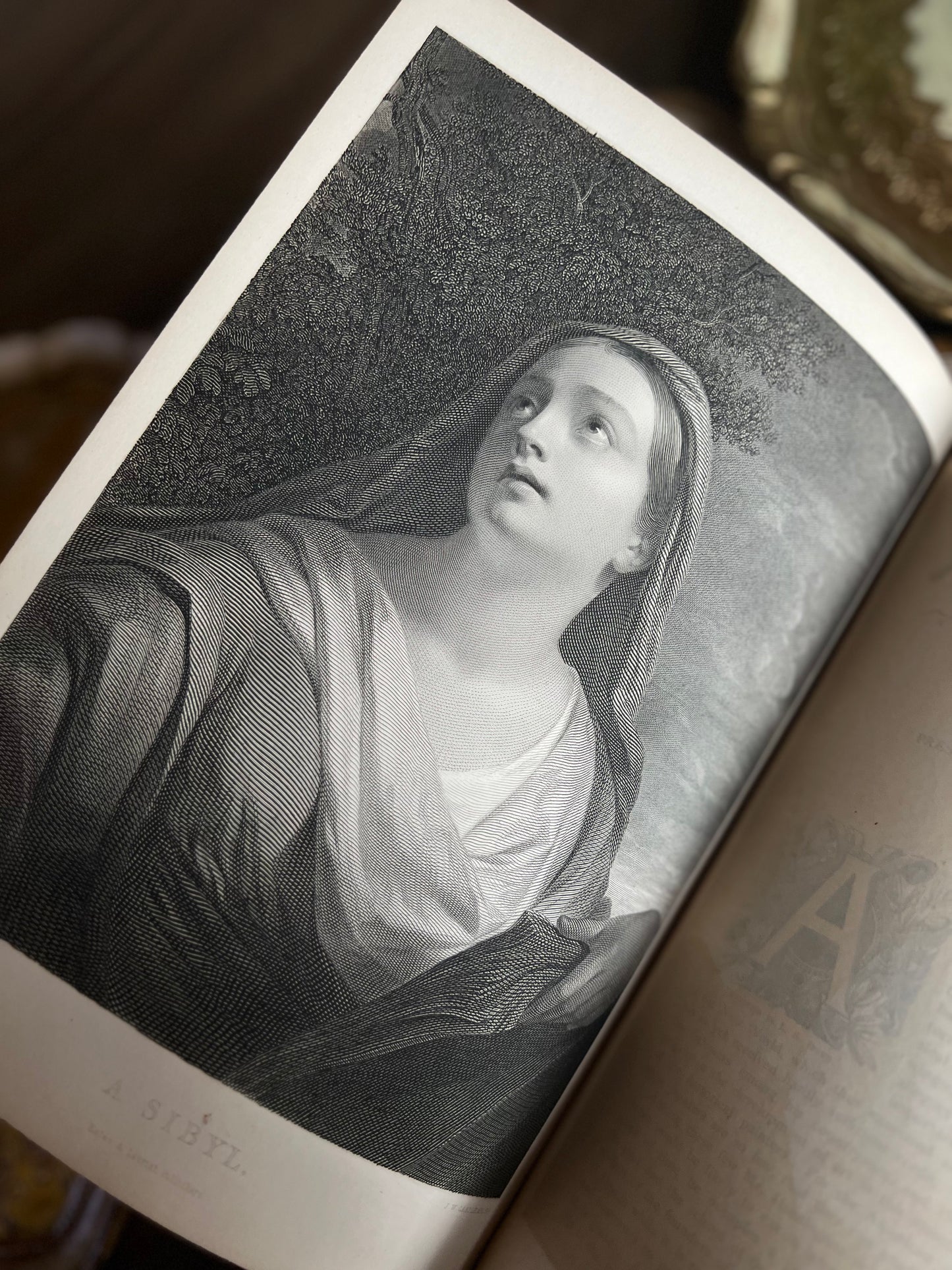 The American Art Review
A Journal Devoted to the Practice, Theory, History, and Archaeology of Art
1880 and 1881