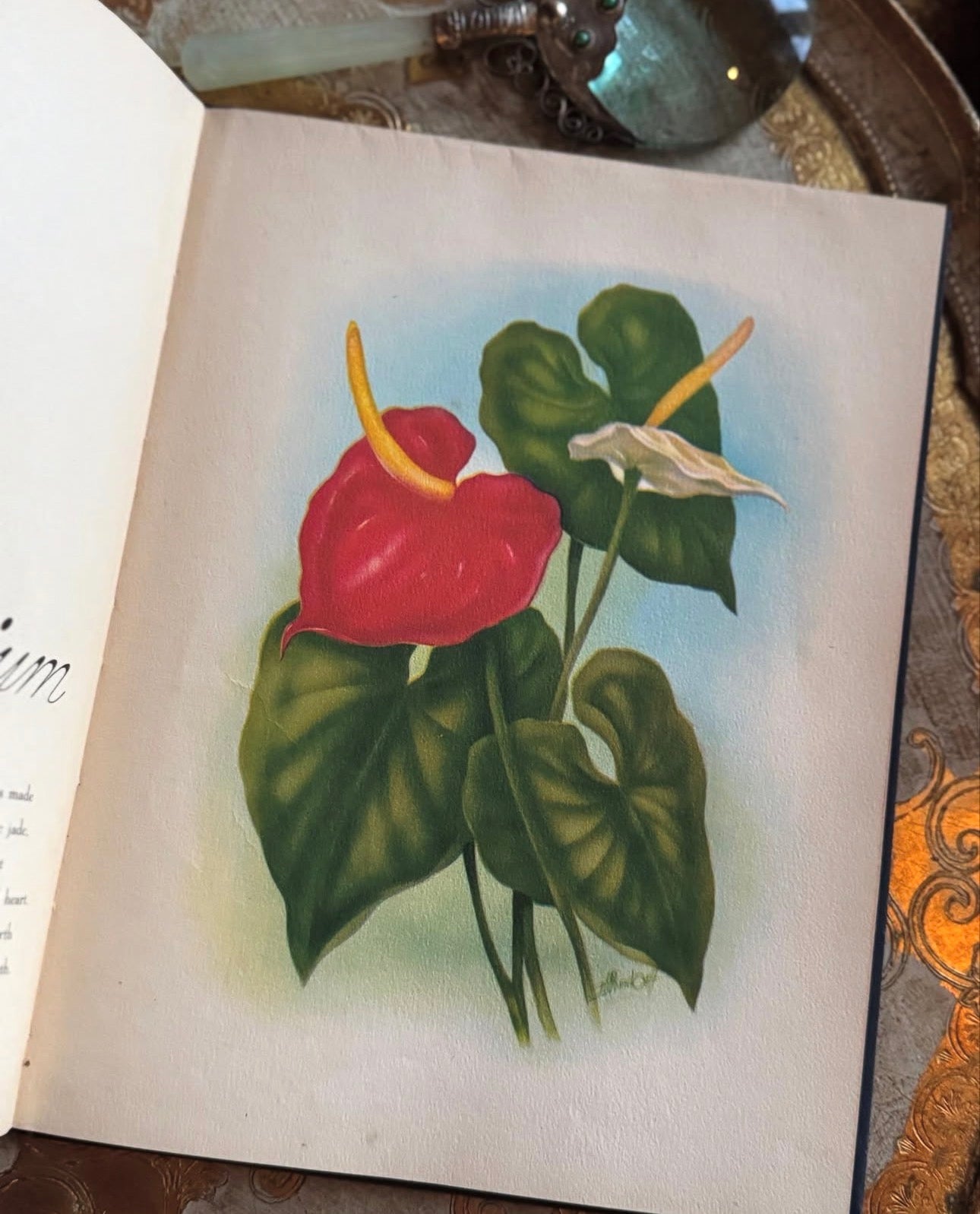 In an Old Hawaiian Garden (signed)