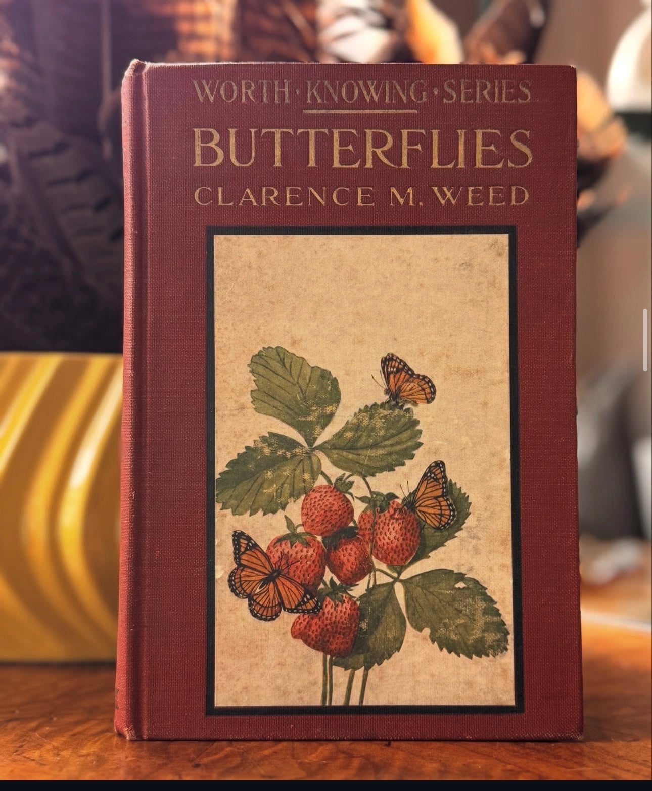 The Book of Butterflies Little Nature Library First Edition