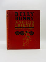 Billy Bunny and His Friends
by David Cory